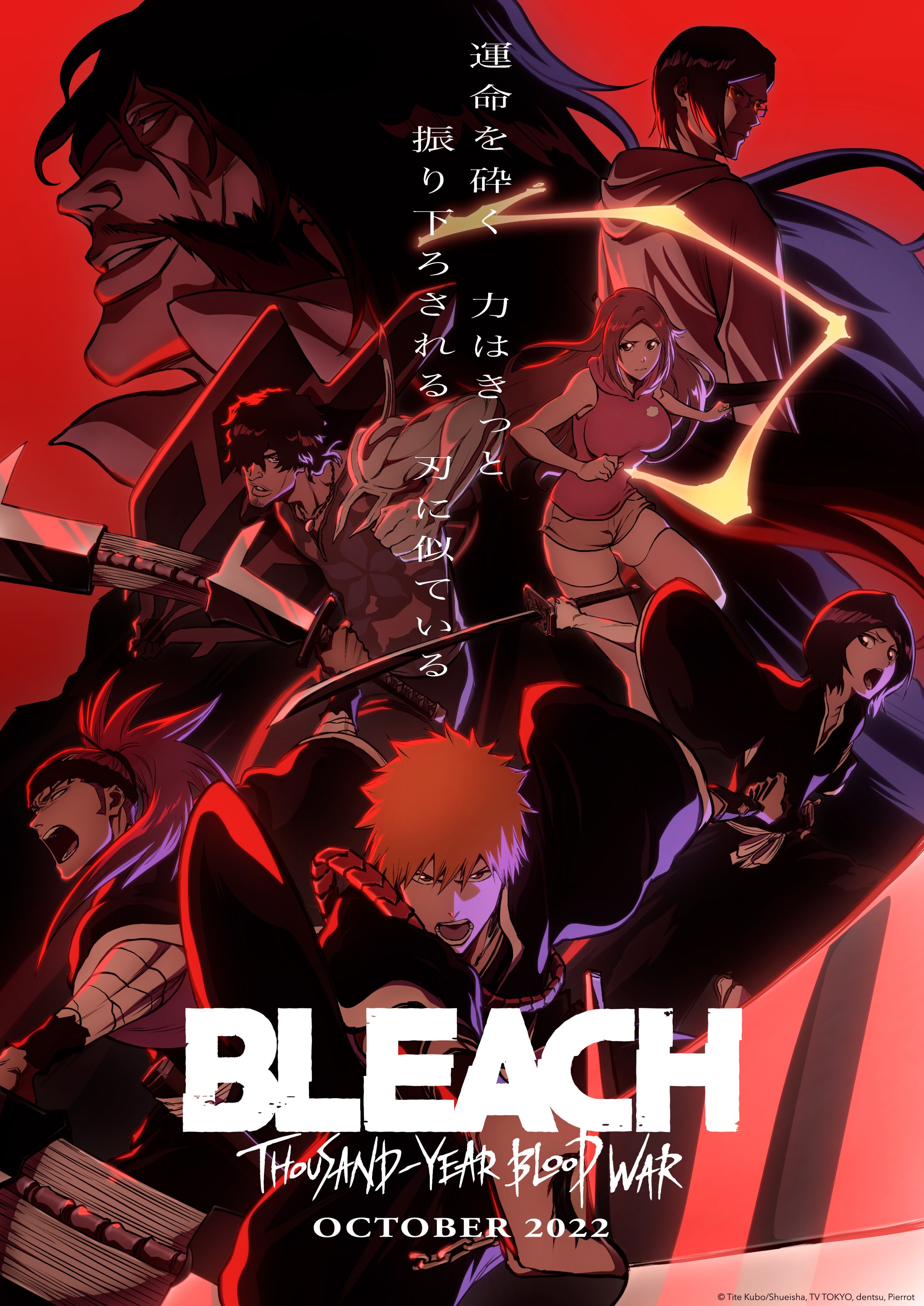 Bleach 1